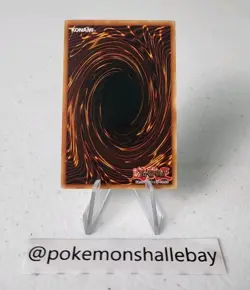 Blue-Eyes White Dragon - LED3-EN006 *NM* 1st Edition Common Yugioh Card - Image 3