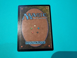 Foil - Island - Arena - 2001 - Promo - MTG - Magic the Gathering - Foil - Image 4