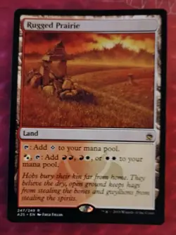 Mtg MASTERS 25 rare RUGGED PRAIRIE filter land nm/lp - Image 1