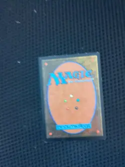 Undiscovered Paradise MTG Visions - Image 2