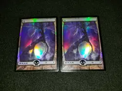 MTG 1x Zendikar common land Japanese FOIL Swamp (238) - see description - Image 1