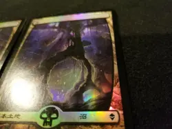 MTG 1x Zendikar common land Japanese FOIL Swamp (238) - see description - Image 3