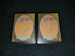 MTG 1x Zendikar common land Japanese FOIL Swamp (238) - see description - Image 4