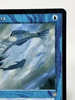 Mystic Remora - Ice Age ~MP~ Magic The Gathering MTG - Image 4