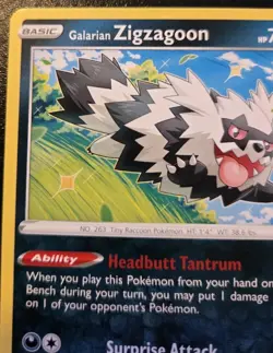 Galarian Zigzagoon 117/202 Common Sword & Shield Pokemon TCG - Image 2