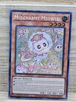 Mulcharmy Meowls SUDA-EN025 1st Edition Yugioh Card TCG Secret Rare (3) - Image 1