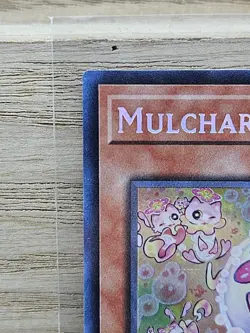 Mulcharmy Meowls SUDA-EN025 1st Edition Yugioh Card TCG Secret Rare (3) - Image 2