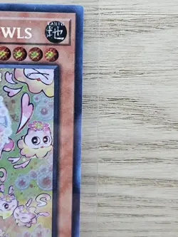 Mulcharmy Meowls SUDA-EN025 1st Edition Yugioh Card TCG Secret Rare (3) - Image 5