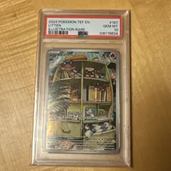 2024 POKEMON LITTEN #167 ILLUSTRATION RARE TEMPORAL FORCES PSA 10 Gem MINT! 💎💎 - Image 2