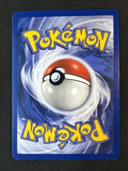 Pikachu 27/53 Wotc Black Star Promo Pokemon - Image 2