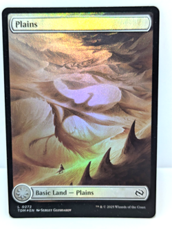 Tarkir: Dragonstorm - Plains - Basic Land - Borderless - Foil - Tdm 272 - - Image 1