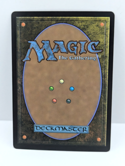 Tarkir: Dragonstorm - Plains - Basic Land - Borderless - Foil - Tdm 272 - - Image 2