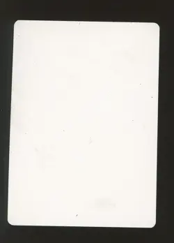 MTG Magic Ice Age WALL OF PINE NEEDLES 💎 Signed Proof BRIAN SNODDY - Image 2