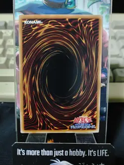 QCAC-JP020 Yugioh Dark Magician Girl the Dragon Knight Secret Alter UNCENSORED - Image 3