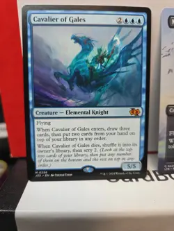 Cavalier of Gales Foundations Jumpstart Regular + 0421 - Image 2