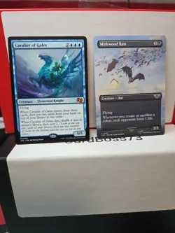 Cavalier of Gales Foundations Jumpstart Regular + 0421 - Image 4