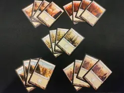 MTG Return To Ravnica Basic Land Cards Complete Set x4 - Image 5