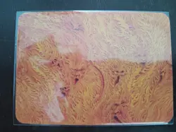 Sorcery Contested Realm Alpha FOIL River Of Flame FOIL Alpha Pack Fresh - Image 2