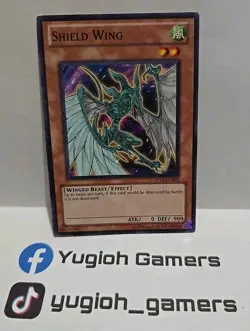 YUGIOH SHIELD WING COMMON DP10-EN002 LIGHT PLAYED - Image 1