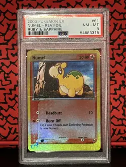 Graded PSA 8 Pokemon Numel EX Ruby & Sapphire Reverse Holo #61 - Image 1