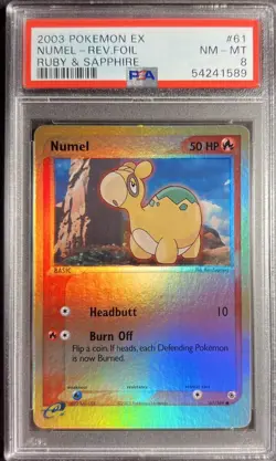 2003 Pokemon EX Ruby & Sapphire 61 Numel Reverse PSA 8 - Image 1