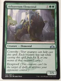 Arboretum Elemental - Guilds of Ravnica - Magic the Gathering MTG Nice! - Image 1