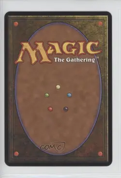 Animar Soul of Elements (Oversized Foil) Magic: Commander 2011 #181 - Image 2