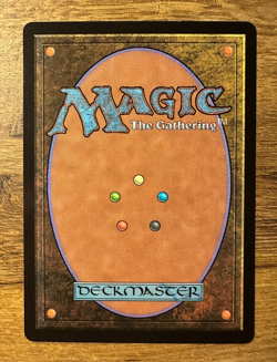 Magic MTG Final Fantasy Firion Wild Rose Warrior #384 *NON-FOIL* Borderless Rare - Image 2