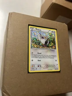 FREE SHIPPING Pidove 11/12 LP - McDonald's Promo 2011 Holo - Pokemon TCG - Image 3