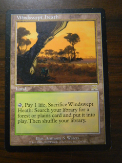 MTG Magic The Gathering Onslaught Windswept Heath LP - Excellent - Image 1