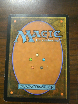 MTG Magic The Gathering Onslaught Windswept Heath LP - Excellent - Image 2