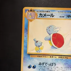 Pokemon Vintage Southern Islands Wartortle 15/18 Rare Japanese Promo - Image 3