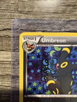 Pokemon TCG Umbreon Black White Holo Card BW93 Black Star Promo MP - Image 5