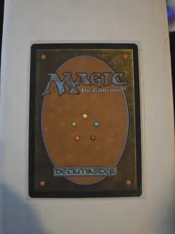 Stormcarved Coast - NM - VOW 265 MTG Magic The Gathering - Image 2