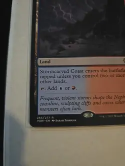 Stormcarved Coast - NM - VOW 265 MTG Magic The Gathering - Image 4