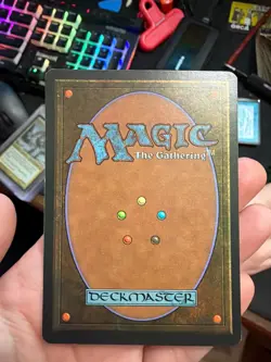 MTG Edward Beard Signed "Nicol Bolas” Legends Magic The Gathering - Image 2