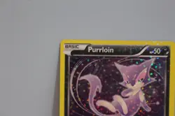 Purrloin RC13/RC25 - Reverse Holo Foil - Legendary Treasures 2013 - Pokemon NM - Image 2