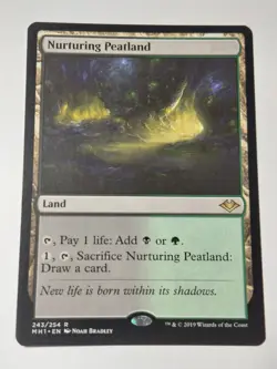 Nourishing Peatland Modern Horizons Regular - Image 1
