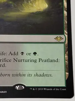 Nourishing Peatland Modern Horizons Regular - Image 4