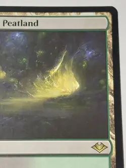 Nourishing Peatland Modern Horizons Regular - Image 5