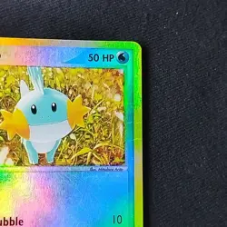 Pokemon TCG Mudkip 59/109 Ruby and Sapphire Reverse Holo MP/LP - Image 3