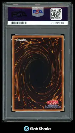 2008 YU-GI-OH! SHONEN JUMP PROMOTIONAL CARDS #WJMP-JP012 DARK MAGICIAN PSA 10 - Image 2