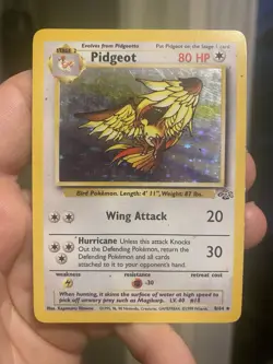 Pidgeot 8/64 - Jungle - Holo Rare - Pokemon TCG WOTC Vintage HP - Image 1