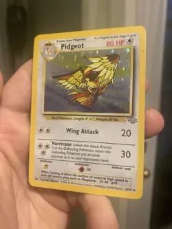 Pidgeot 8/64 - Jungle - Holo Rare - Pokemon TCG WOTC Vintage HP - Image 4