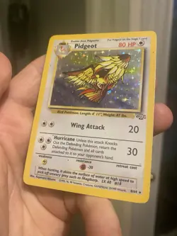 Pidgeot 8/64 - Jungle - Holo Rare - Pokemon TCG WOTC Vintage HP - Image 5