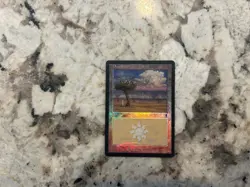 Mtg Foil Odyssey Plains 333 Magic the Gathering Foil Odyssey Land Thunder Plains - Image 1