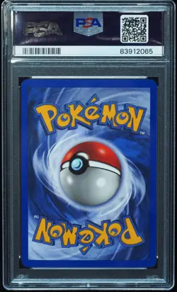 Raikou H26/H32 PSA 10 Gem Mint Skyridge Pokemon Card - Image 3