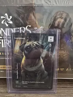 Wonders of The First Collector's Booster Box SEALED Plus Loyal Friend Promo Card - Image 5