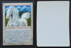 SIGNED MtG Magic D Willich Artist Proof _ Spanish Ice Age _ HIPPARION _ 1/100! - Image 1