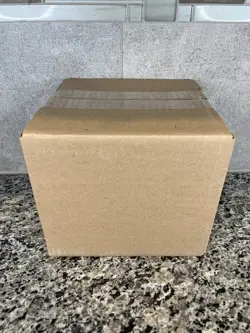 Pokemon Scarlet & Violet Paldean Fates Tech Sticker Collection Case Sealed - Image 2